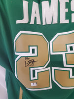 Load image into Gallery viewer, LeBron James - St.Vincent - St. Mary High School - Framed Jersey