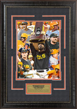 Load image into Gallery viewer, Tennessee Vols - Collage - 2024 College World Series National Champions