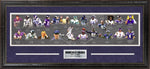 Load image into Gallery viewer, Minnesota Vikings Hall of Fame