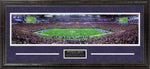 Load image into Gallery viewer, Minnesota Vikings Panorama
