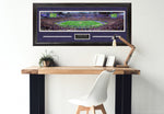 Load image into Gallery viewer, Minnesota Vikings Panorama