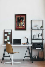 Load image into Gallery viewer, Bobby Bowden - Florida State - Spotlight