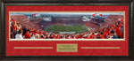 Load image into Gallery viewer, San Francisco 49ers Panorama