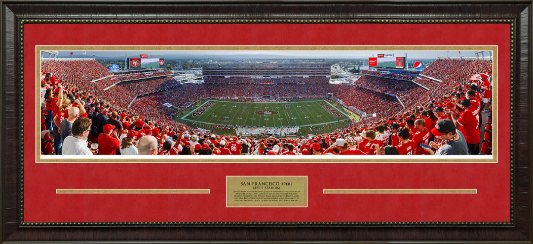 San Francisco 49ers Panorama