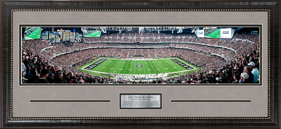Las Vegas Raiders Panorama