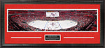 Load image into Gallery viewer, Detroit Red Wings - 100 Years of Hockeytown