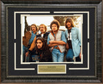 Load image into Gallery viewer, Eagles