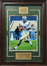 Load image into Gallery viewer, Robert Griffin III - Baylor