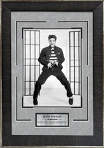 Load image into Gallery viewer, Elvis Presley (Jailhouse Rock)