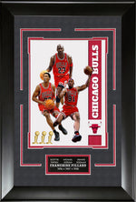 Load image into Gallery viewer, Chicago Bulls - Franchise Pillars