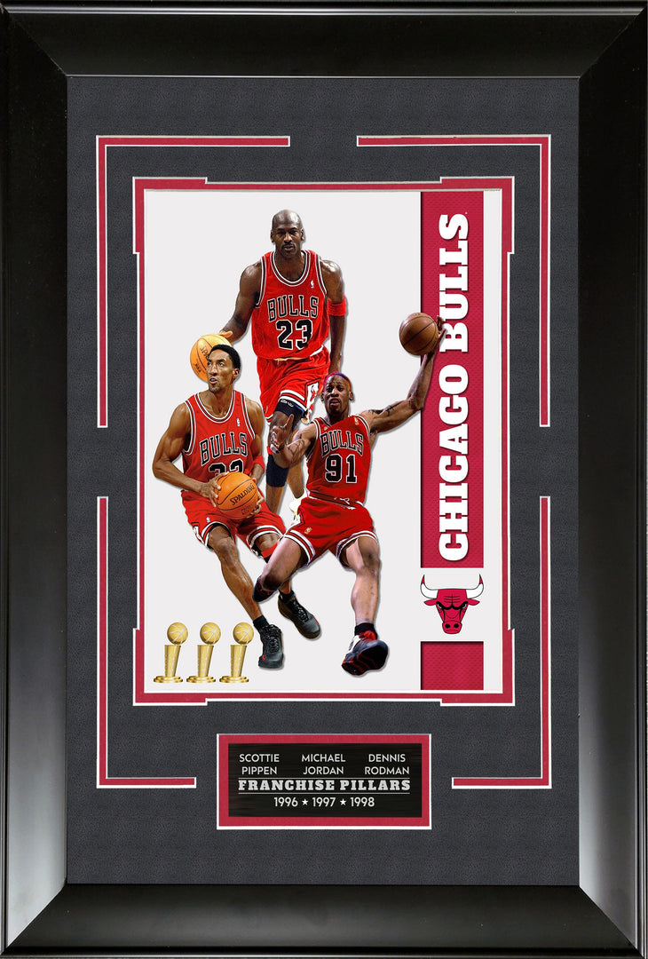Chicago Bulls - Franchise Pillars