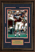 Load image into Gallery viewer, Pat Sullivan - Auburn