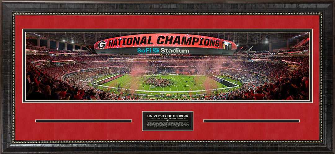 Georgia Bull Dogs 2023 National Champions Panorama