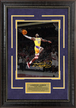 Load image into Gallery viewer, LeBron James - NBA JAM - Spotlight with Facsimile Signature