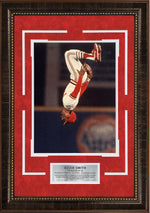 Load image into Gallery viewer, Ozzie Smith - The Wizard of Oz
