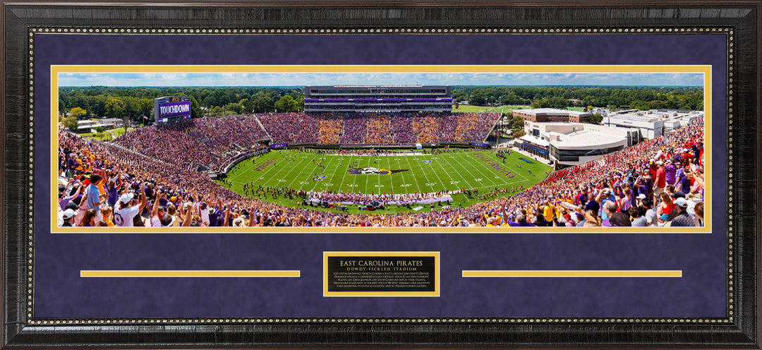 East Carolina Pirates Panorama Framed Picture