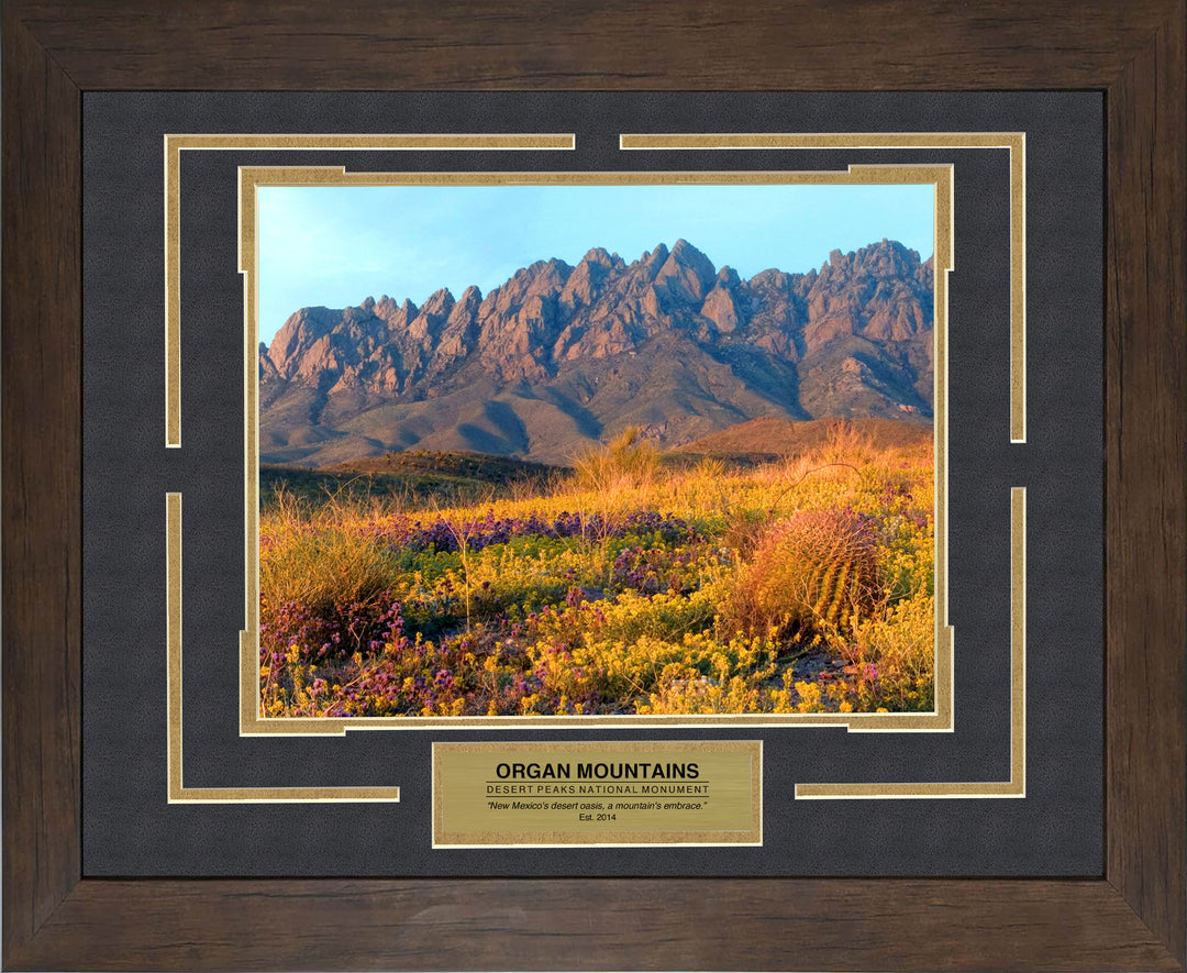 Organ Mountain-Desert Peaks National Monument