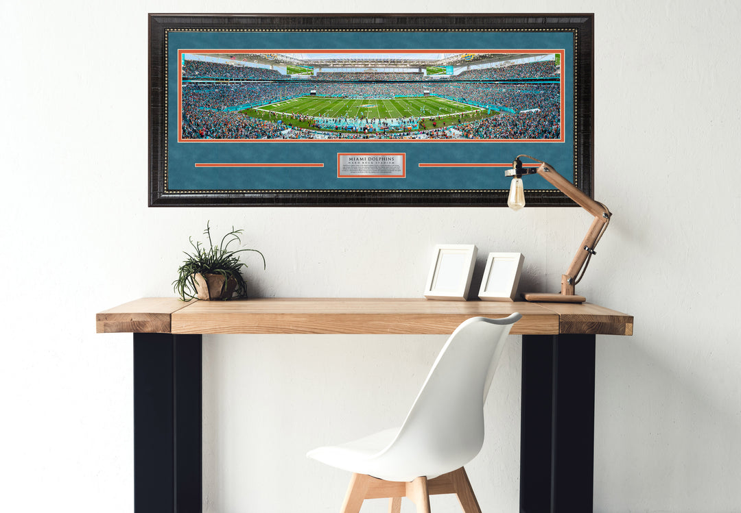 Miami Dolphins Panorama