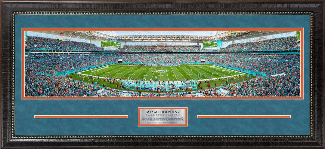 Miami Dolphins Panorama