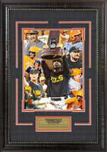 Load image into Gallery viewer, Tennessee Vols - Collage - 2024 College World Series National Champions
