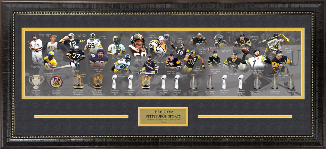 History of Pittsburgh Sports Timeline Panorama