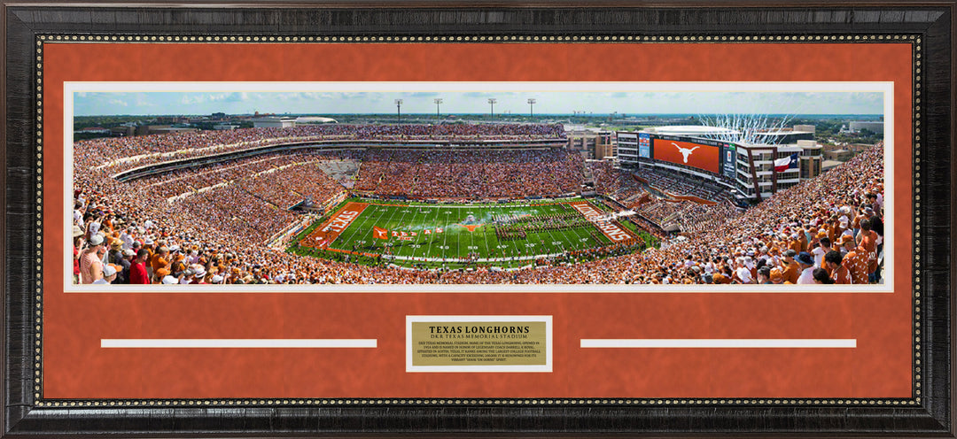 Texas Longhorns Panorama