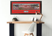 Texas Tech Red Raiders Panorama