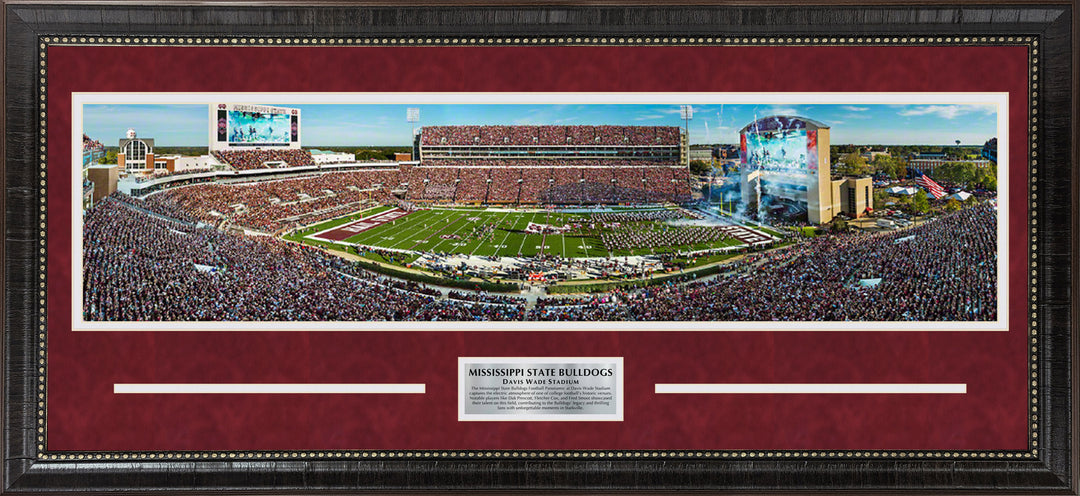 Mississippi State Bulldogs Panorama