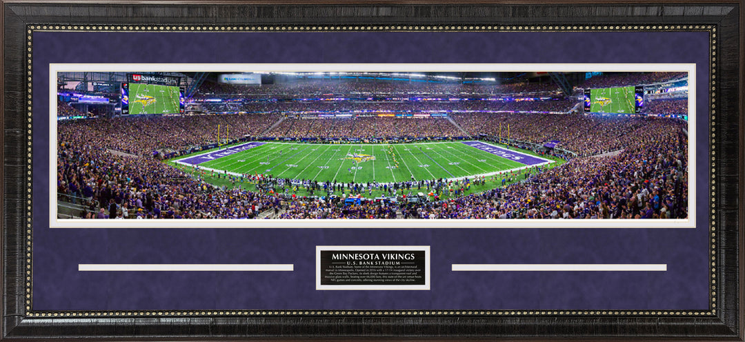 Minnesota Vikings Panorama