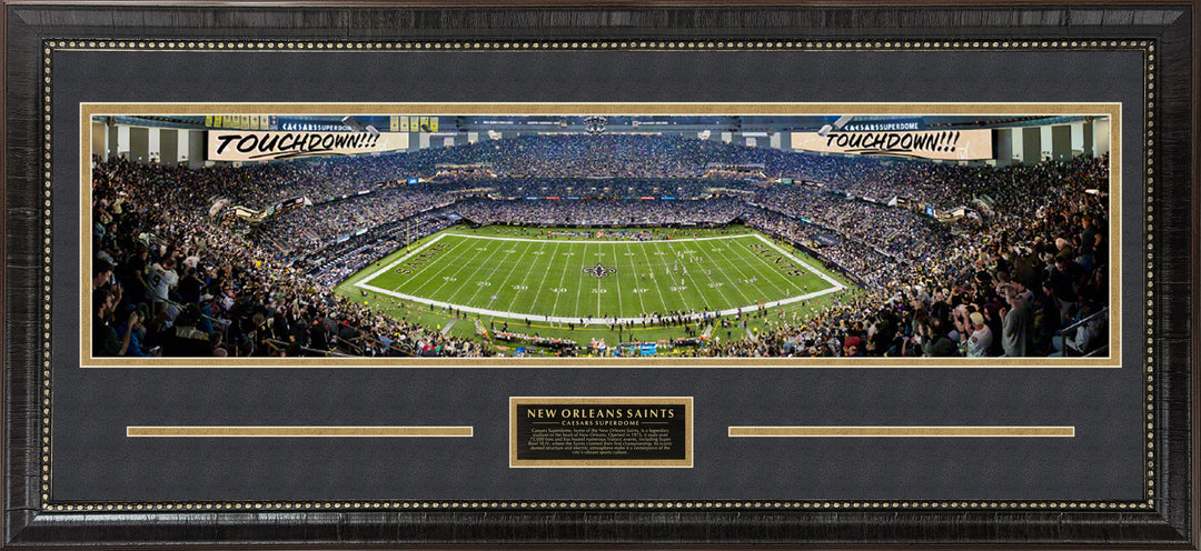 New Orleans Saints Panorama