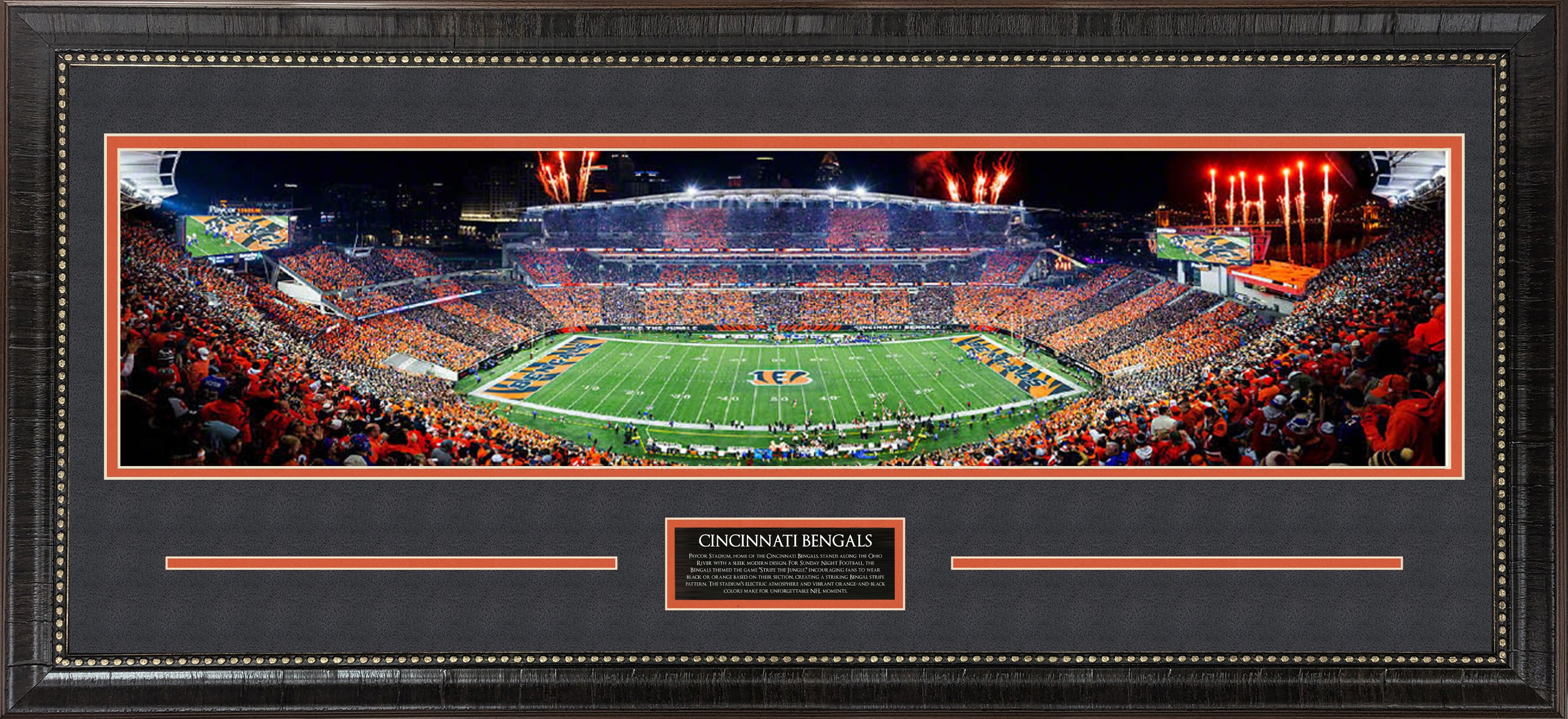 Cincinnati Bengals Panorama