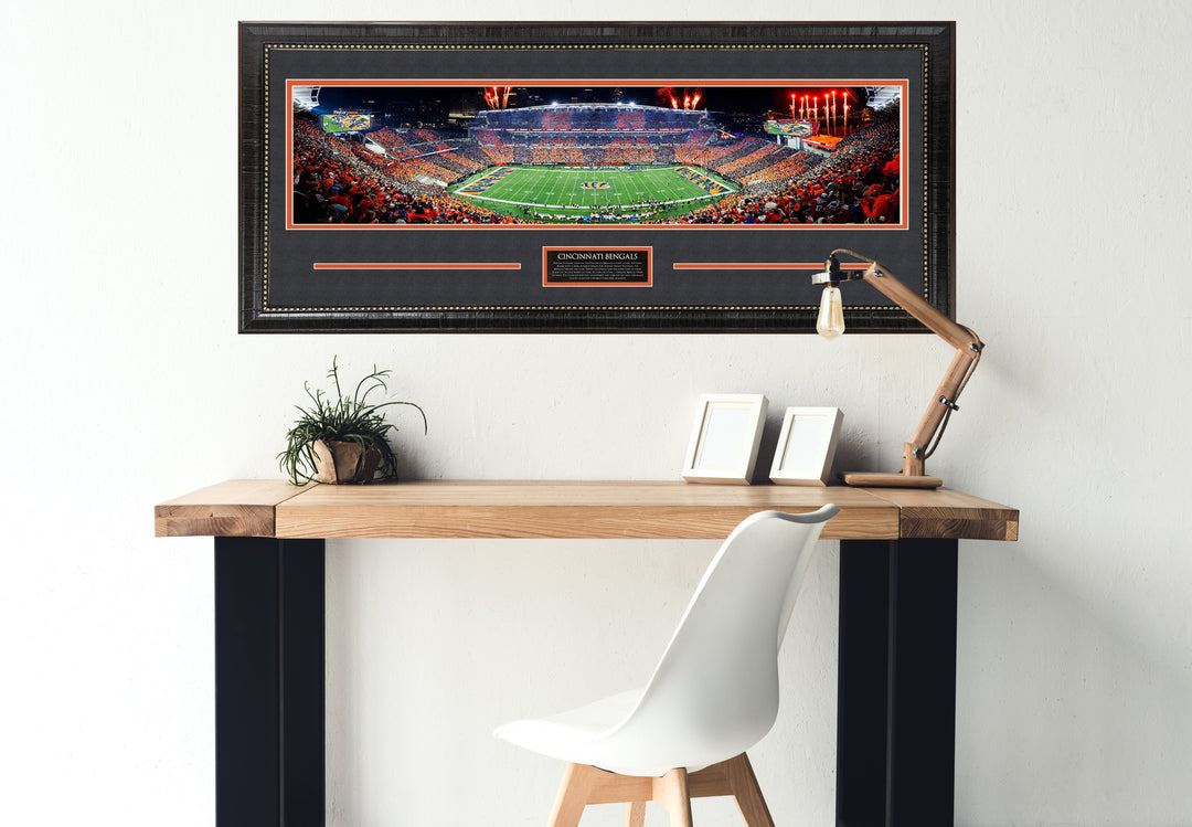 Cincinnati Bengals Panorama