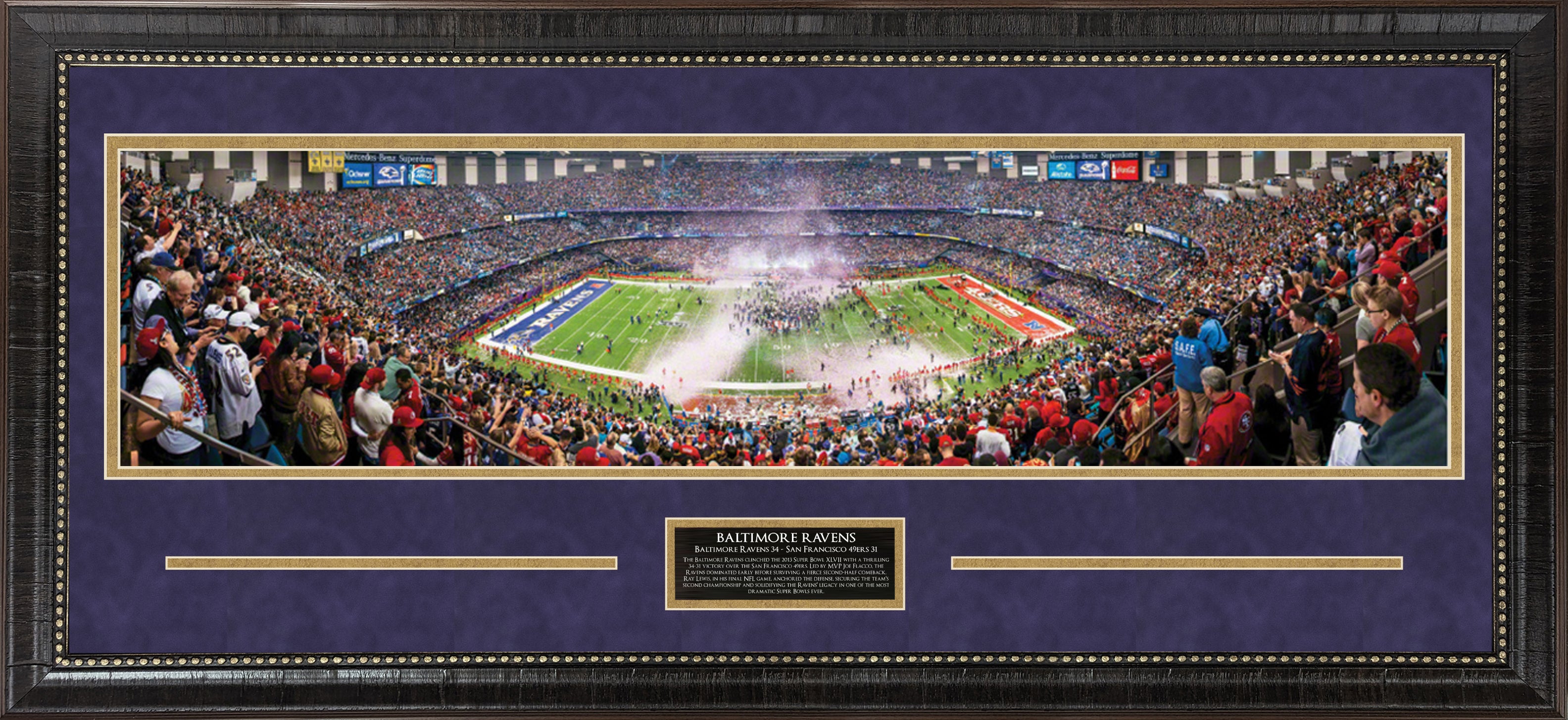 Baltimore Ravens Panorama