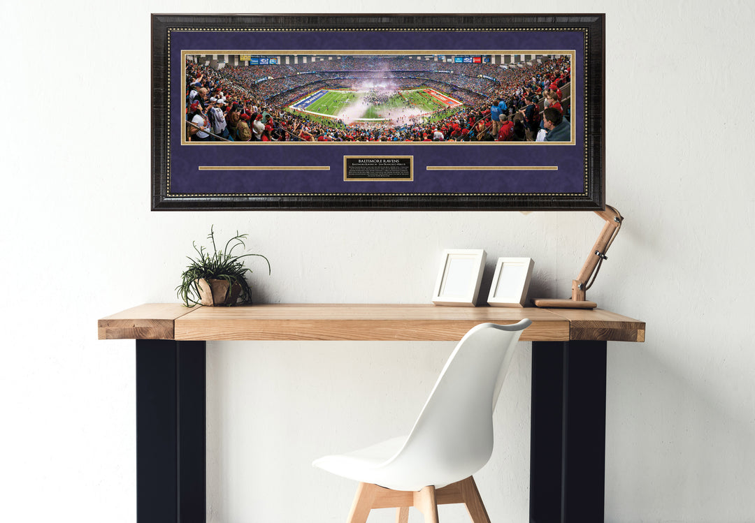 Baltimore Ravens Panorama