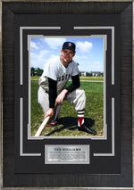 Load image into Gallery viewer, Ted Williams - Boston Red Sox - The Greatest Hitters in Baseball History
