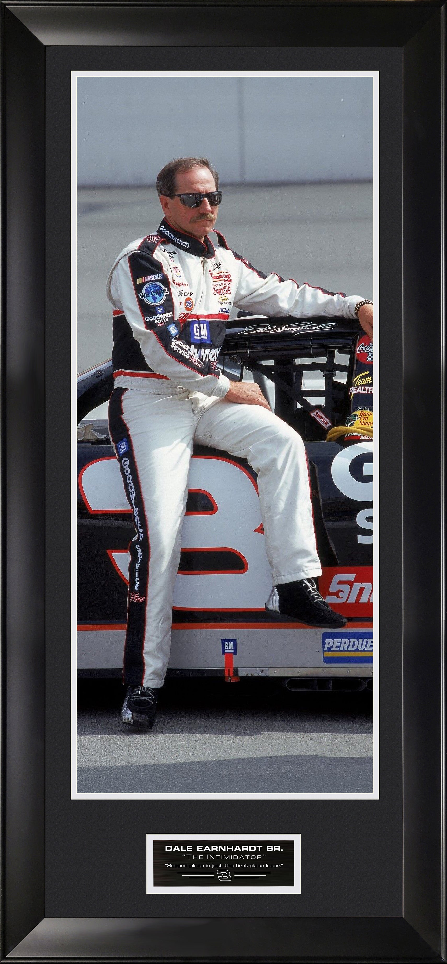 Dale Earnhardt Sr. - Large Wall Decor