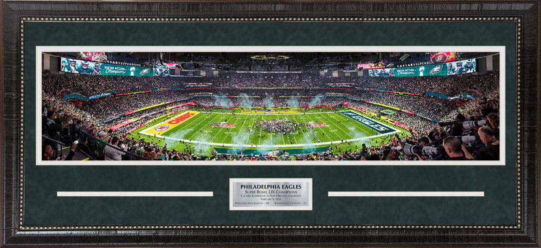 Philadelphia Eagles Super Bowl LIX Panorama