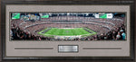 Load image into Gallery viewer, Las Vegas Raiders Panorama
