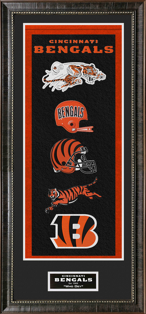 Cincinnati Bengals Banner