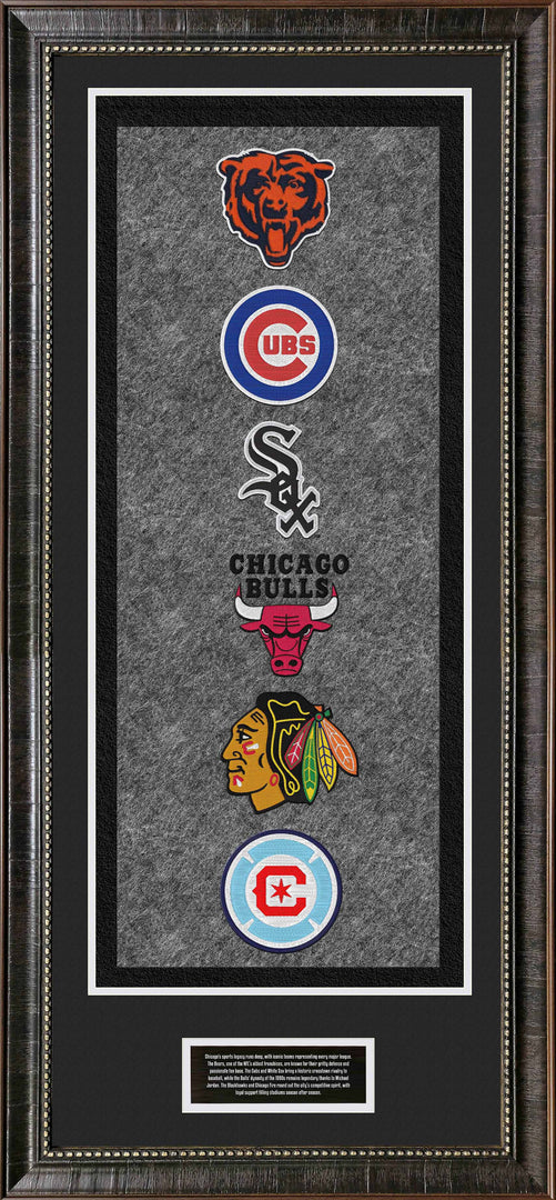 Chicago Sports Banner