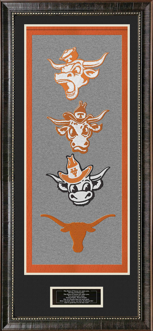 Texas Longhorns Banner