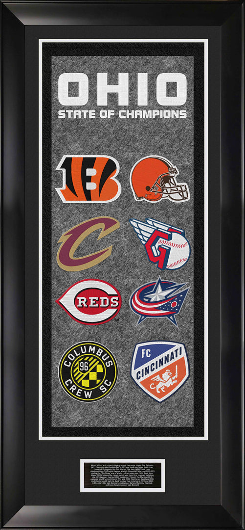 Ohio Sports Banner