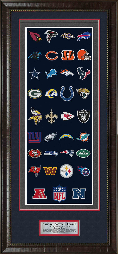 NFL Banner