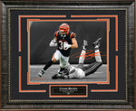 Load image into Gallery viewer, Chase Brown - Cincinnati Bengals - Spotlight with Facsimile Signature
