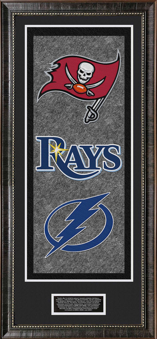 Tampa Bay Sports Banner