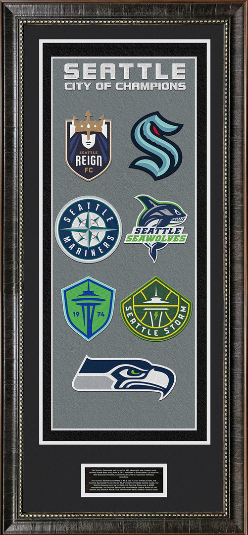 Seattle Sports Banner