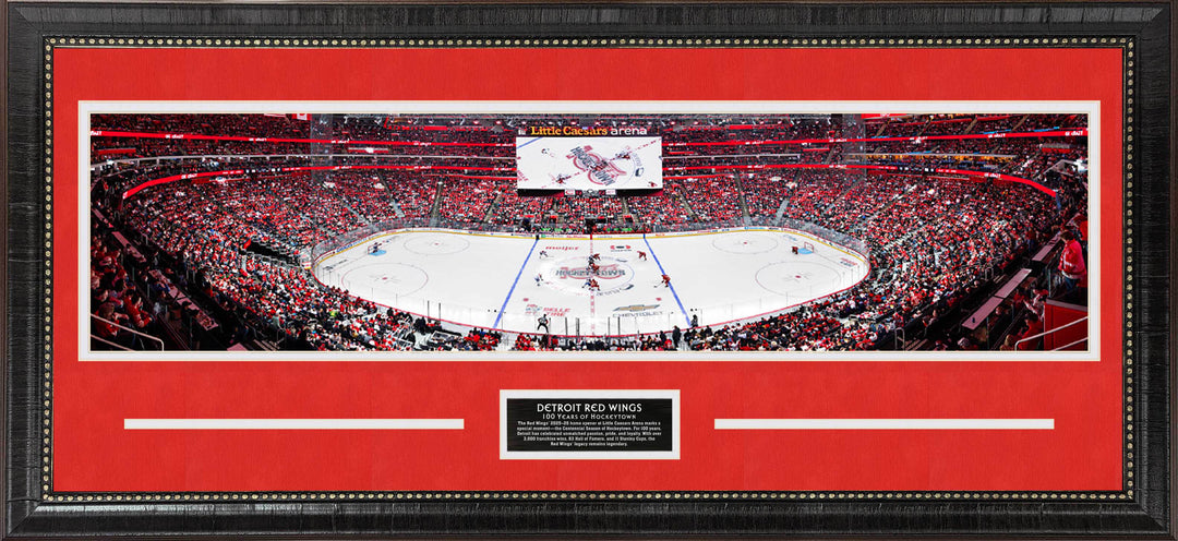 Detroit Red Wings - 100 Years of Hockeytown