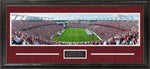 Load image into Gallery viewer, South Carolina Gamecocks Panorama