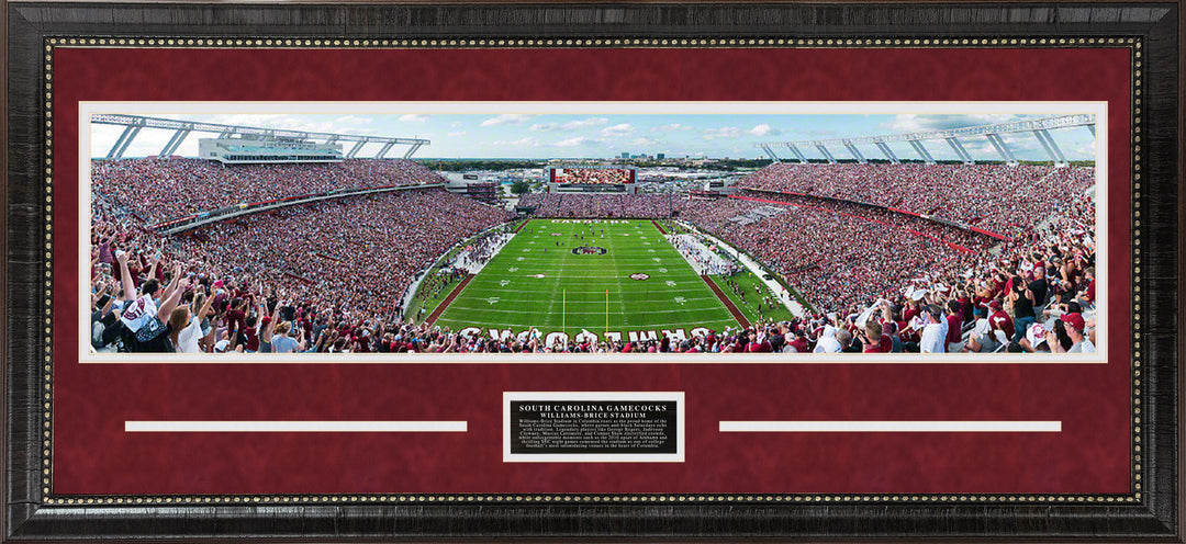 South Carolina Gamecocks Panorama
