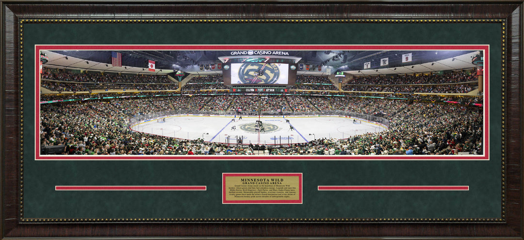 Minnesota Wild Panorama